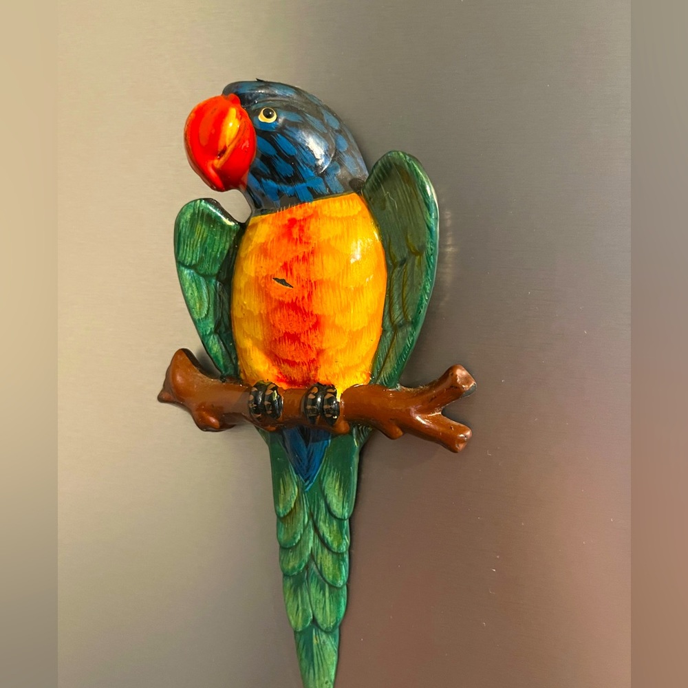 Parrot Magnet